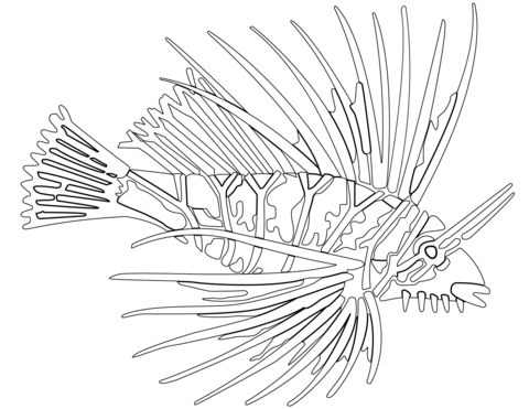 Pterois Radiata Coloring Page